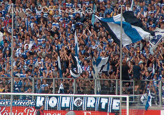 MSV Duisburg vs DSC Arminia Bielefeld (3-0) (11)