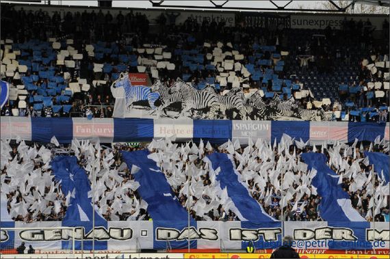 MSV Duisburg vs VfL Osnabrück (4-1) (5)