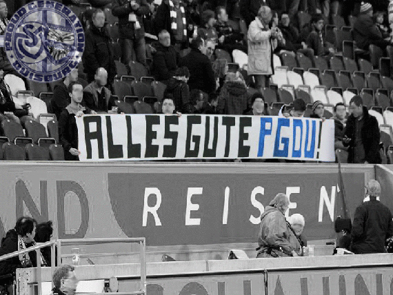 MSV Duisburg vs SpVgg Fürth (0-2) (8)