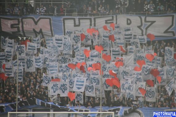 MSV Duisburg vs VfL Bochum (0-0) (2)