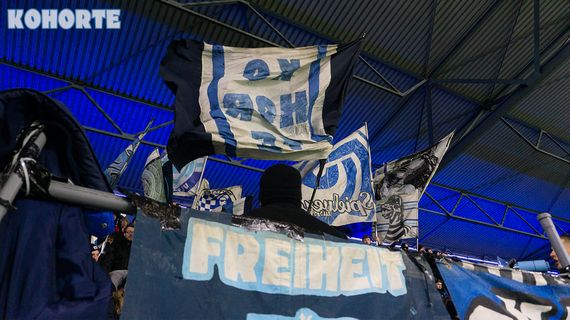 MSV Duisburg vs SV Waldhof Mannheim 07 (1-3) (14)