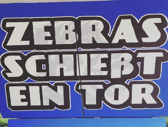 MSV Duisburg vs TSV Havelse (3-0) (1)