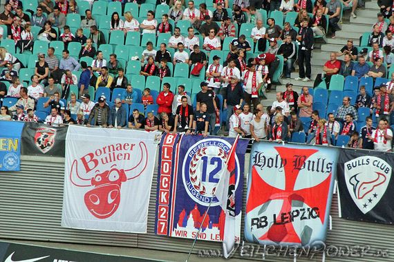 RB Leipzig vs FC Erzgebirge Aue (1-0) (4)