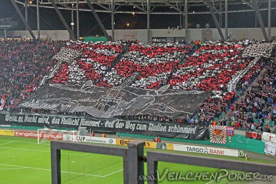 RB Leipzig vs FC Erzgebirge Aue (3-1 n.V.) (3)