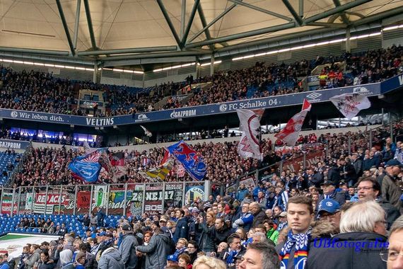 FC Schalke 04 vs RB Leipzig (0-1) (9)