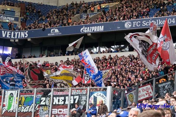 FC Schalke 04 vs RB Leipzig (0-1) (10)