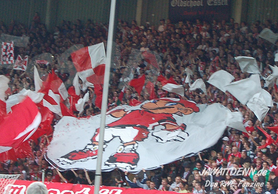 Rot-Weiss Essen vs 1. FSV Mainz 05 II (2-1) (5)