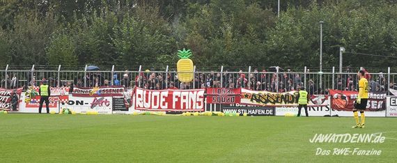 SV Rödinghausen vs Rot-Weiss Essen (3-2) (4)