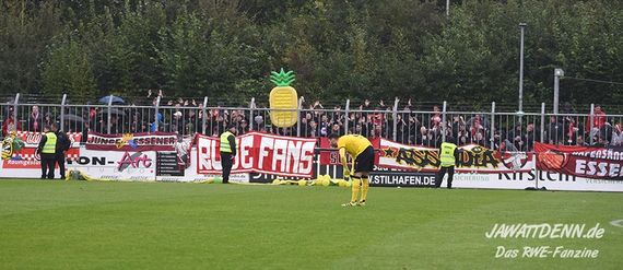 SV Rödinghausen vs Rot-Weiss Essen (3-2) (7)