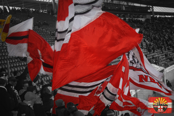 Hannover 96 vs SC Freiburg (3-0) (5)