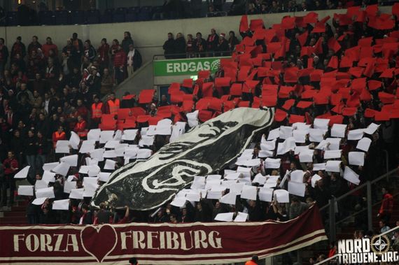 FC Schalke 04 vs SC Freiburg (1-3) (19)