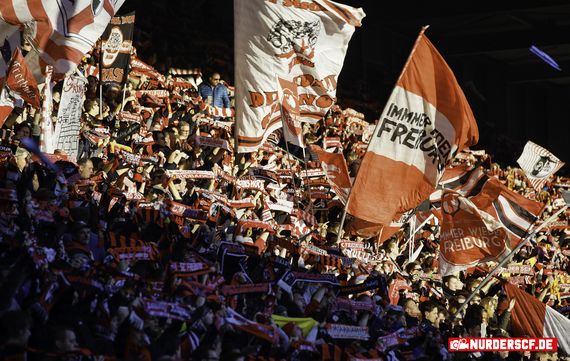 SC Freiburg vs SV Darmstadt 98 (1-0) (4)