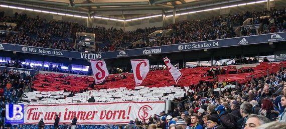 FC Schalke 04 vs SC Freiburg (1-1) (8)