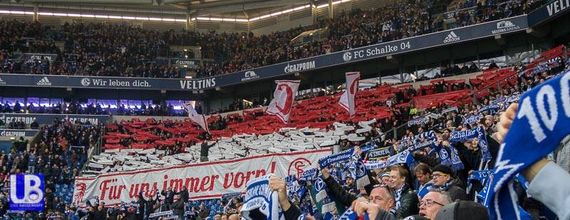 FC Schalke 04 vs SC Freiburg (1-1) (13)