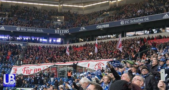 FC Schalke 04 vs SC Freiburg (1-1) (16)