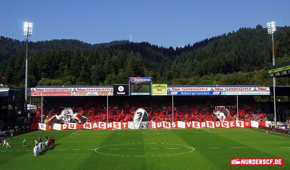 SC Freiburg vs Borussia Mönchengladbach (3-1) (5)