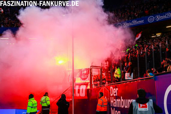 Hamburger SV vs SC Freiburg (2-2) (4)