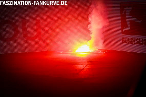 Hamburger SV vs SC Freiburg (2-2) (6)
