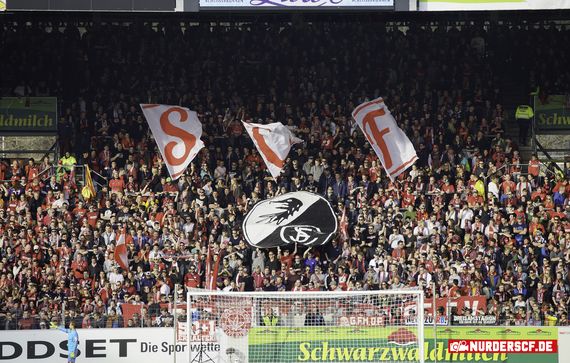 SC Freiburg vs TSG Hoffenheim (1-1) (11)