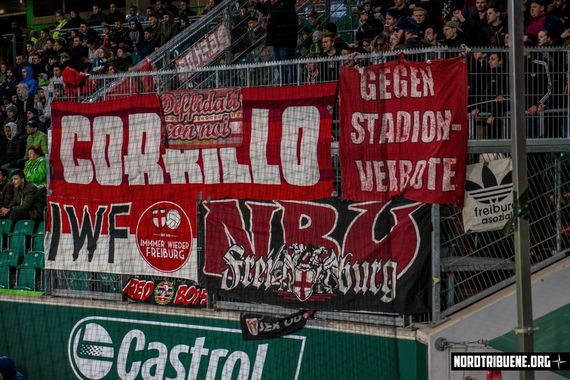 VfL Wolfsburg vs SC Freiburg (0-1) (19)