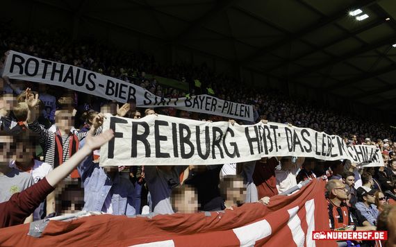 SC Freiburg vs Bayer Leverkusen (2-1) (9)