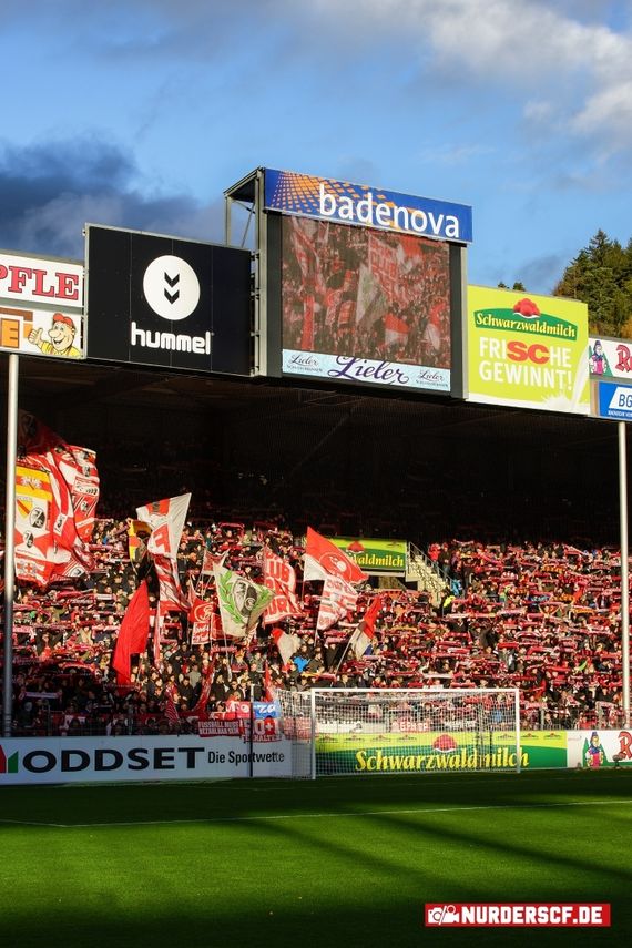 SC Freiburg vs 1. FSV Mainz 05 (1-0) (8)