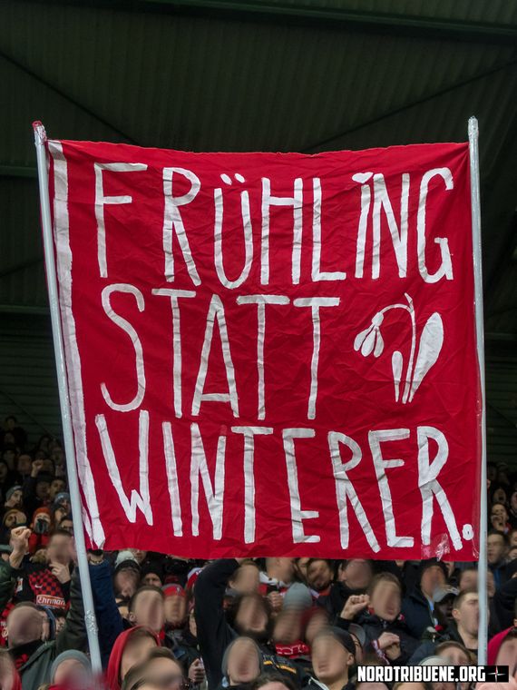 SC Freiburg vs Bayer 04 Leverkusen (0-0) (6)