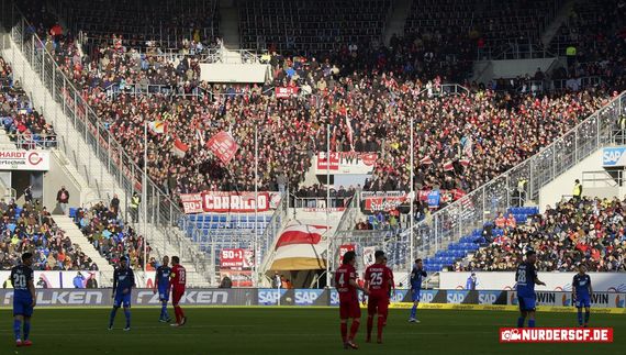TSG Hoffenheim vs SC Freiburg (1-1) (21)