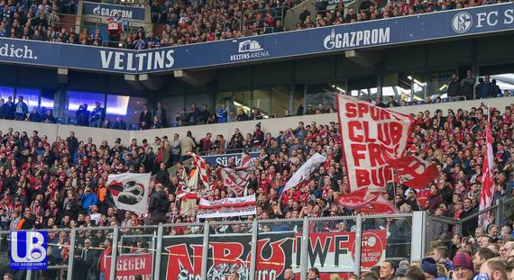 FC Schalke 04 vs SC Freiburg (2-0) (2)