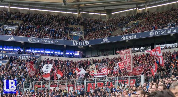 FC Schalke 04 vs SC Freiburg (2-0) (3)