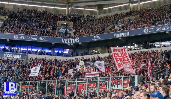 FC Schalke 04 vs SC Freiburg (2-0) (8)