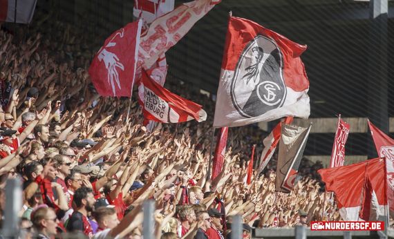 SC Freiburg vs VfL Wolfsburg (0-2) (22)