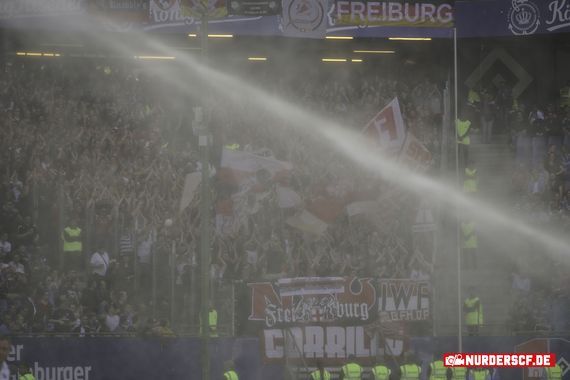 Hamburger SV vs SC Freiburg (1-0) (3)