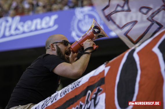 Hamburger SV vs SC Freiburg (1-0) (7)