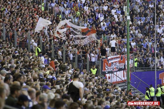 Hamburger SV vs SC Freiburg (1-0) (12)