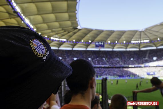Hamburger SV vs SC Freiburg (1-0) (17)