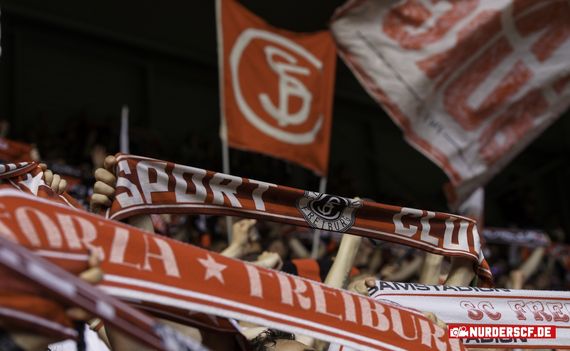 SC Freiburg vs 1. FC Köln (3-2) (20)