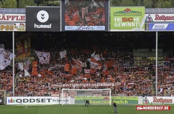 SC Freiburg vs TSG Hoffenheim (3-2) (16)