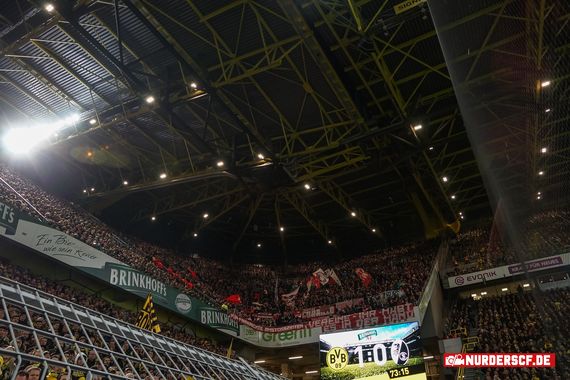 Borussia Dortmund vs SC Freiburg (2-0) (19)