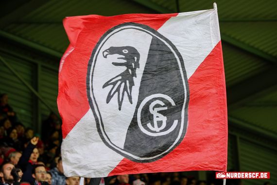 SC Freiburg vs TSG Hoffenheim (2-4) (11)