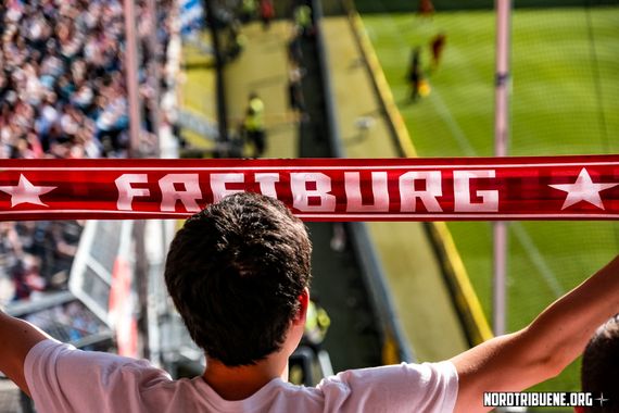 TSG Hoffenheim vs SC Freiburg (3-1) (27)