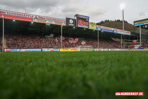 SC Freiburg vs VfL Wolfsburg (3-3) (14)