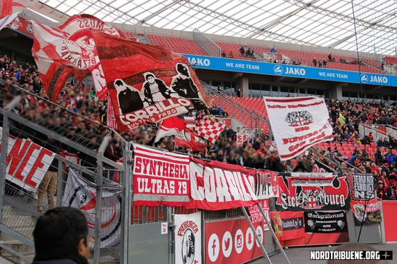 Bayer 04 Leverkusen vs SC Freiburg (2-0) (5)