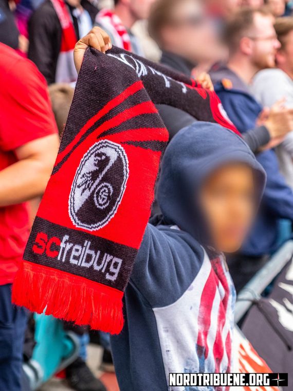 RB Leipzig vs SC Freiburg (2-1) (22)