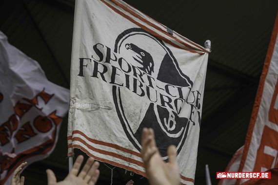 SC Freiburg vs 1. FC Nürnberg (5-1) (8)