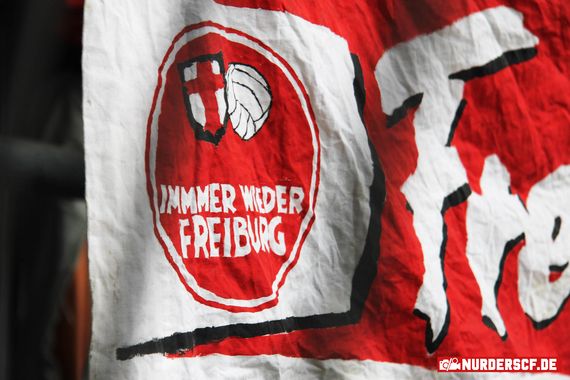 VfL Wolfsburg vs SC Freiburg (1-3) (5)