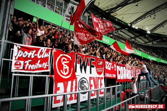 VfL Wolfsburg vs SC Freiburg (1-3) (7)