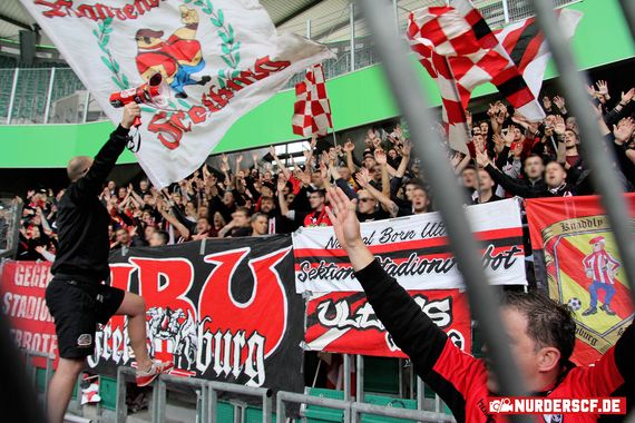 VfL Wolfsburg vs SC Freiburg (1-3) (15)