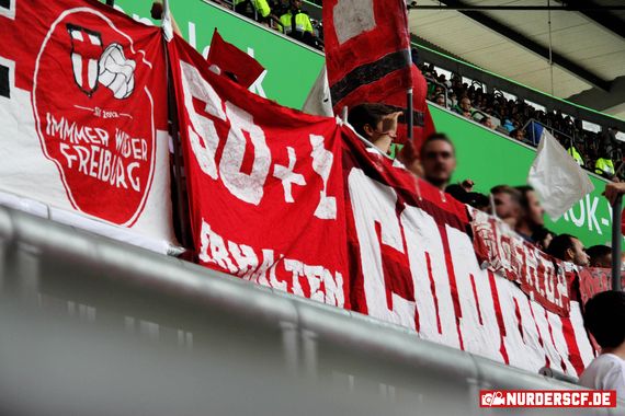 VfL Wolfsburg vs SC Freiburg (1-3) (21)