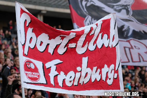Hertha BSC vs SC Freiburg (1-1) (8)